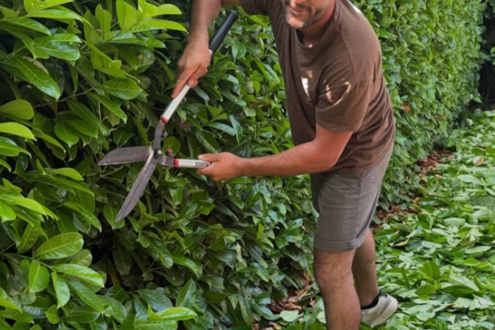 Jardinier professionnel poussant une brouette dans un jardin en entretien